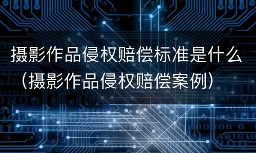 摄影作品侵权赔偿标准是什么（摄影作品侵权赔偿案例）