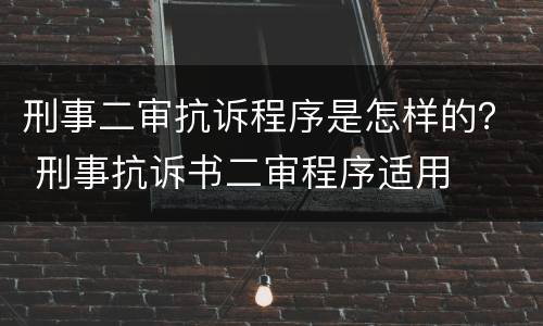 刑事二审抗诉程序是怎样的？ 刑事抗诉书二审程序适用