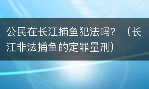 公民在长江捕鱼犯法吗？（长江非法捕鱼的定罪量刑）