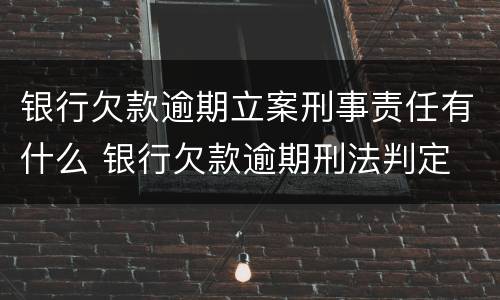 银行欠款逾期立案刑事责任有什么 银行欠款逾期刑法判定