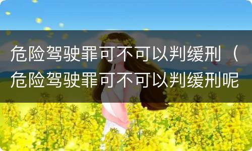 危险驾驶罪可不可以判缓刑（危险驾驶罪可不可以判缓刑呢）