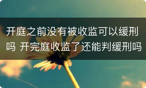 开庭之前没有被收监可以缓刑吗 开完庭收监了还能判缓刑吗