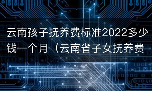 云南孩子抚养费标准2022多少钱一个月（云南省子女抚养费标准）