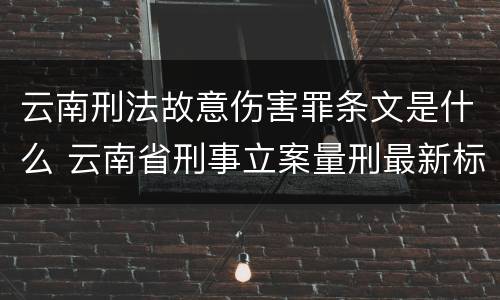 云南刑法故意伤害罪条文是什么 云南省刑事立案量刑最新标准