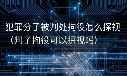 犯罪分子被判处拘役怎么探视（判了拘役可以探视吗）