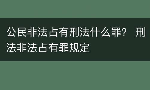 公民非法占有刑法什么罪？ 刑法非法占有罪规定