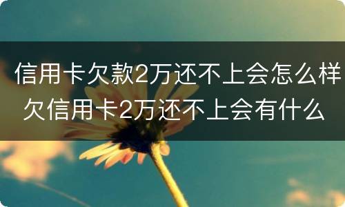 信用卡欠款2万还不上会怎么样 欠信用卡2万还不上会有什么后果