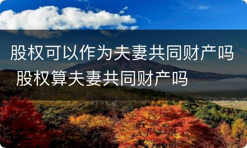 股权可以作为夫妻共同财产吗 股权算夫妻共同财产吗