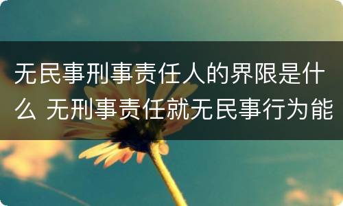 无民事刑事责任人的界限是什么 无刑事责任就无民事行为能力