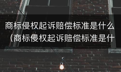 商标侵权起诉赔偿标准是什么（商标侵权起诉赔偿标准是什么样的）