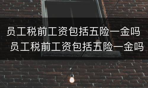 员工税前工资包括五险一金吗 员工税前工资包括五险一金吗合法吗