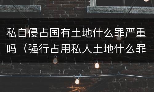 私自侵占国有土地什么罪严重吗（强行占用私人土地什么罪）