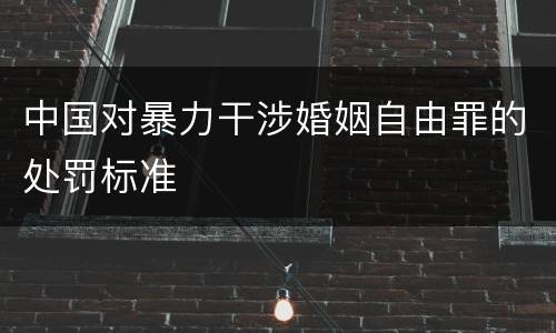中国对暴力干涉婚姻自由罪的处罚标准