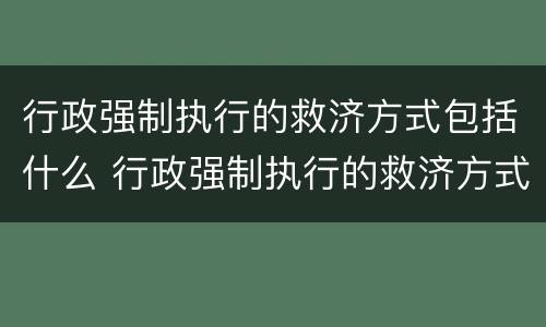 行政强制执行的救济方式包括什么 行政强制执行的救济方式包括什么