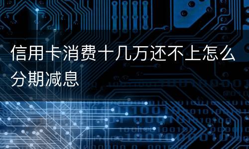 信用卡消费十几万还不上怎么分期减息