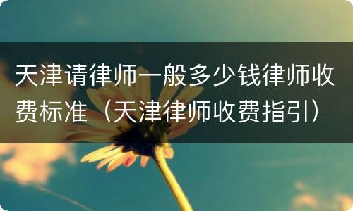 天津请律师一般多少钱律师收费标准（天津律师收费指引）