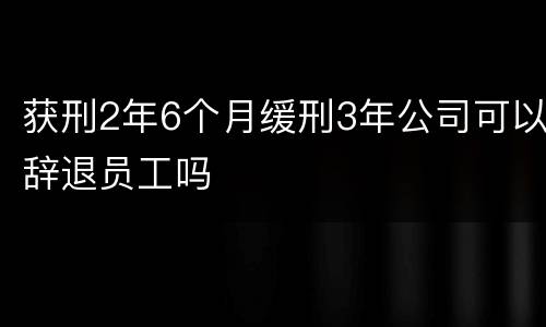 获刑2年6个月缓刑3年公司可以辞退员工吗