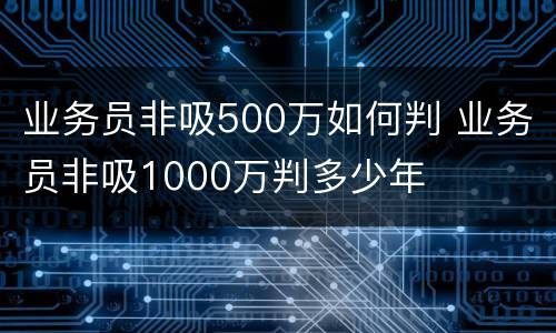 业务员非吸500万如何判 业务员非吸1000万判多少年