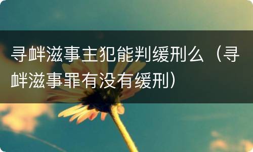 寻衅滋事主犯能判缓刑么（寻衅滋事罪有没有缓刑）