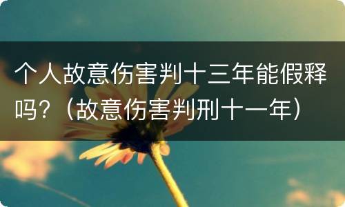 个人故意伤害判十三年能假释吗?（故意伤害判刑十一年）