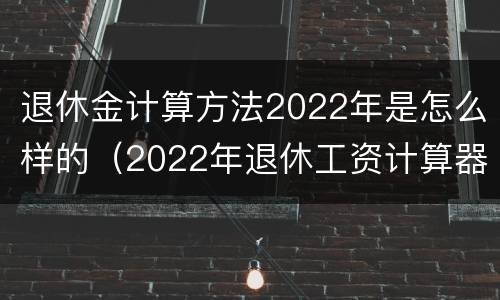 退休金计算方法2022年是怎么样的（2022年退休工资计算器）
