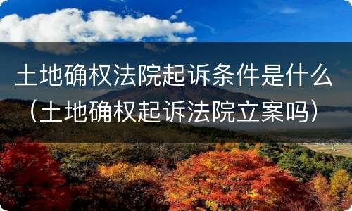 土地确权法院起诉条件是什么（土地确权起诉法院立案吗）
