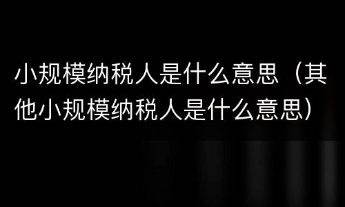 小规模纳税人是什么意思（其他小规模纳税人是什么意思）