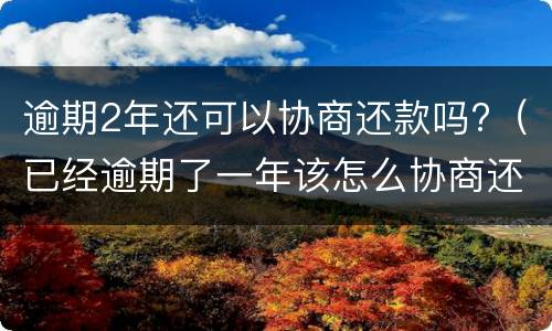 逾期2年还可以协商还款吗?（已经逾期了一年该怎么协商还款）