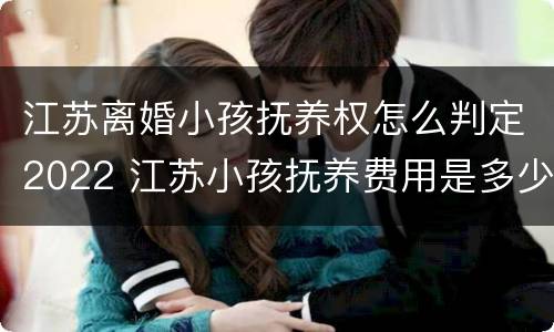 江苏离婚小孩抚养权怎么判定2022 江苏小孩抚养费用是多少