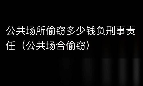 公共场所偷窃多少钱负刑事责任（公共场合偷窃）