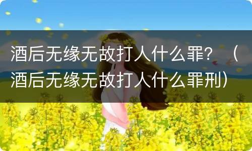 酒后无缘无故打人什么罪？（酒后无缘无故打人什么罪刑）