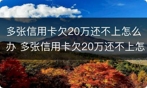 多张信用卡欠20万还不上怎么办 多张信用卡欠20万还不上怎么办,怎么欠这么多