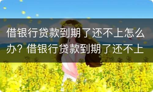 借银行贷款到期了还不上怎么办? 借银行贷款到期了还不上怎么办?可以买保险吗