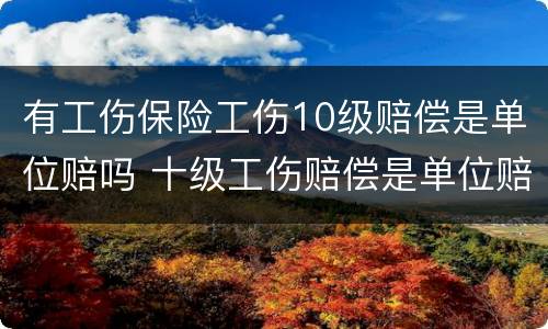 有工伤保险工伤10级赔偿是单位赔吗 十级工伤赔偿是单位赔还是保险公司赔