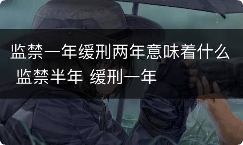 监禁一年缓刑两年意味着什么 监禁半年 缓刑一年