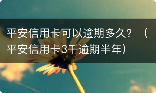 平安信用卡可以逾期多久？（平安信用卡3千逾期半年）