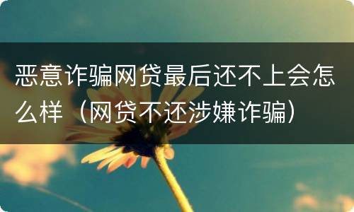恶意诈骗网贷最后还不上会怎么样（网贷不还涉嫌诈骗）