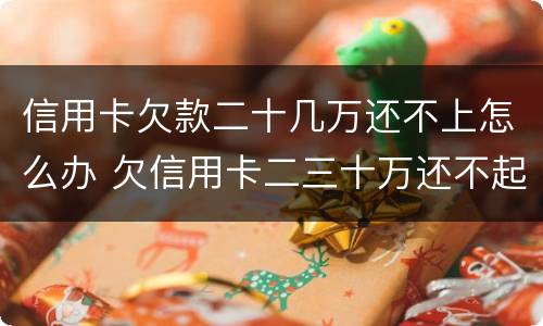 信用卡欠款二十几万还不上怎么办 欠信用卡二三十万还不起怎么办