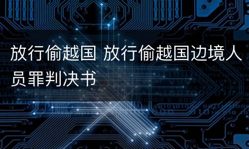 放行偷越国 放行偷越国边境人员罪判决书