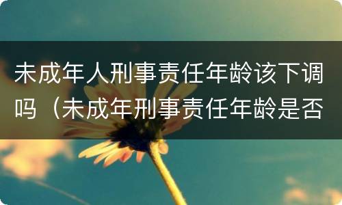 未成年人刑事责任年龄该下调吗（未成年刑事责任年龄是否应该降低）