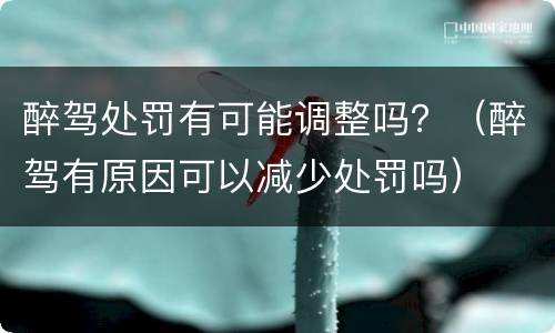 醉驾处罚有可能调整吗？（醉驾有原因可以减少处罚吗）