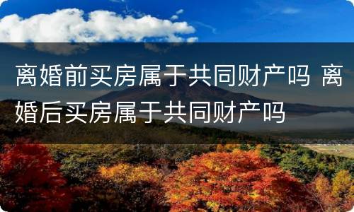 离婚前买房属于共同财产吗 离婚后买房属于共同财产吗