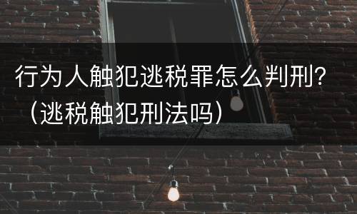 行为人触犯逃税罪怎么判刑？（逃税触犯刑法吗）