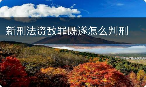 新刑法资敌罪既遂怎么判刑