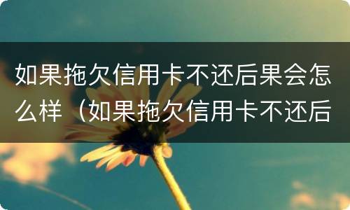 如果拖欠信用卡不还后果会怎么样（如果拖欠信用卡不还后果会怎么样呢）
