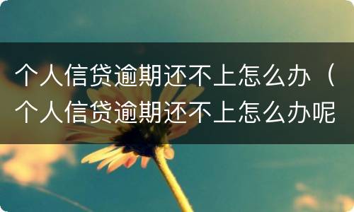 个人信贷逾期还不上怎么办（个人信贷逾期还不上怎么办呢）