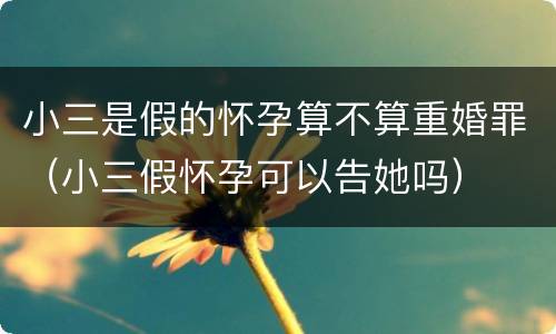 小三是假的怀孕算不算重婚罪（小三假怀孕可以告她吗）