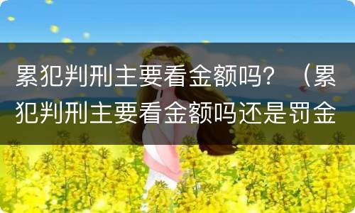 累犯判刑主要看金额吗？（累犯判刑主要看金额吗还是罚金）