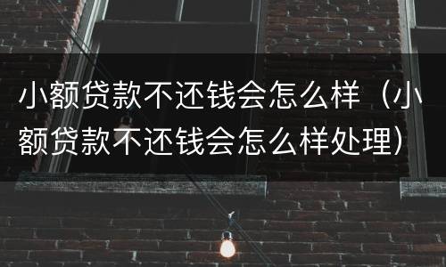 小额贷款不还钱会怎么样（小额贷款不还钱会怎么样处理）