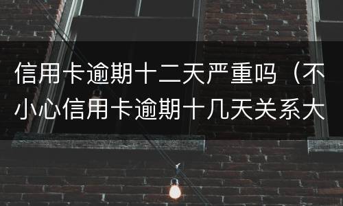 信用卡逾期十二天严重吗（不小心信用卡逾期十几天关系大吗）